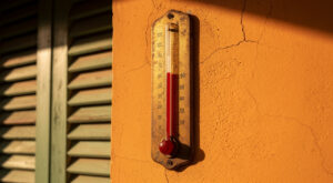 Vigilance orange canicule en Vendée dès minuit ce mardi : les consignes du préfet