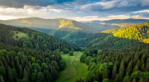 Vosges : consultation publique ouverte pour l&rsquo;extension du camping Huttopia à Granges-Aumontzey