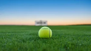 12 Français en qualifs Wimbledon : Mayot, Gaston, Herbert et les autres