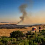 Agde : les pompiers maîtrisent un feu de chaume au Bagnas près de la RD612