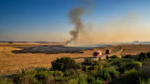 Agde : les pompiers maîtrisent un feu de chaume au Bagnas près de la RD612