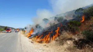 Aix-en-Provence : feu de broussailles maîtrisé sur 1 hectare en bordure de l&rsquo;A8, circulation perturbée