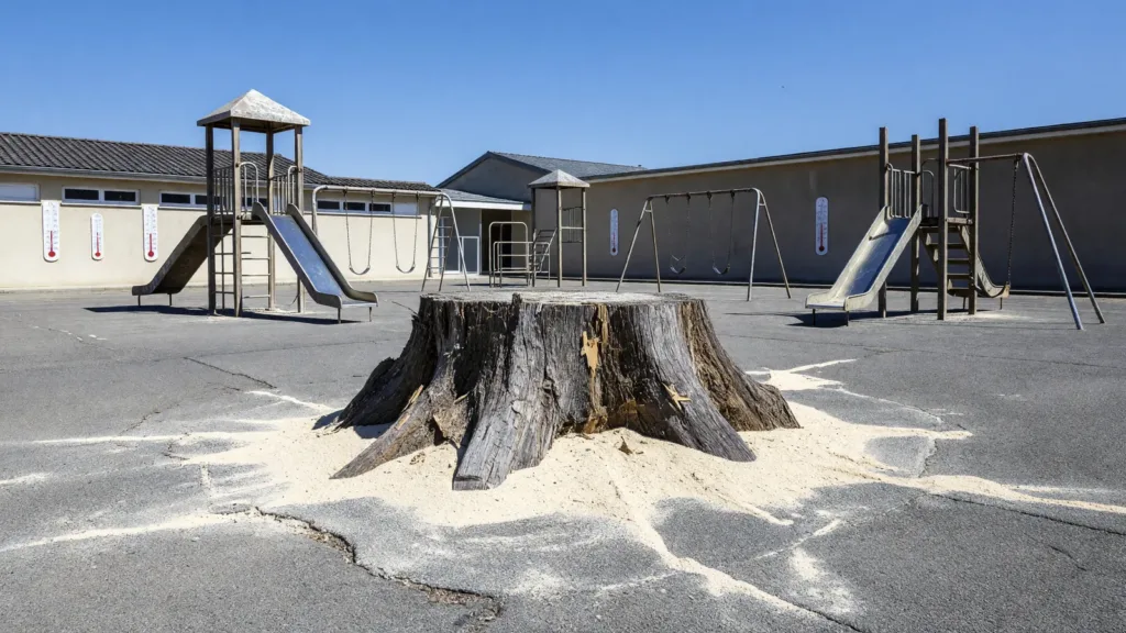 Albi : colère à l'école de la Curveillère après l'abattage surprise d'un tilleul en pleine canicule