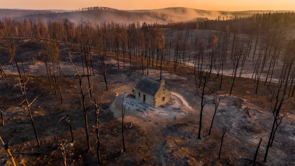 Allier : 136 hectares détruits et 12 départs de feu lors d'une journée noire pour les pompiers