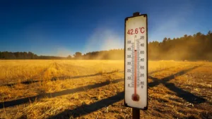 Allier : 63 pompiers en renfort face à la canicule extrême et aux risques d&rsquo;incendie