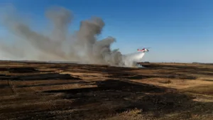 Allier : un incendie de cultures ravage 55 hectares à Thiel-sur-Acolin, d&rsquo;importants moyens terrestres et aériens mobilisés