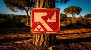 Alpes-de-Haute-Provence : 9 feux de forêt sur 10 d&rsquo;origine humaine, le SDIS 04 appelle à la vigilance