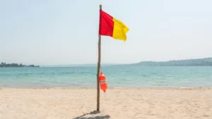 Annecy : une journée de prévention des noyades organisée ce samedi à Albigny après un double drame en pleine canicule