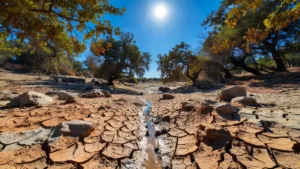 Ardèche : le préfet renforce les restrictions d&rsquo;eau sur quatre bassins en alerte renforcée