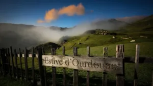Ariège : la préfecture autorise des tirs d&rsquo;effarouchement renforcés contre l’ours à Sentein