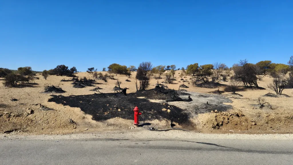Arles : un feu de broussailles maîtrisé rapidement en bordure de la N570