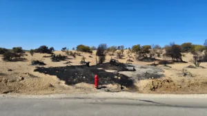 Arles : un feu de broussailles maîtrisé rapidement en bordure de la N570