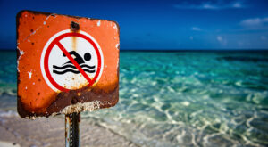 Baignade interdite à Anse Moustique (Marie-Galante) : contamination fécale détectée