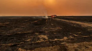 Beaucaire : un incendie de cultures de 5 hectares maîtrisé par les pompiers