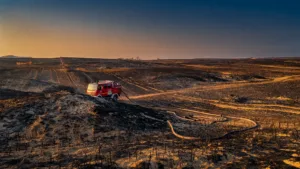Beaucaire : un incendie de cultures de 5 hectares maîtrisé par les pompiers, une habitation sauvée