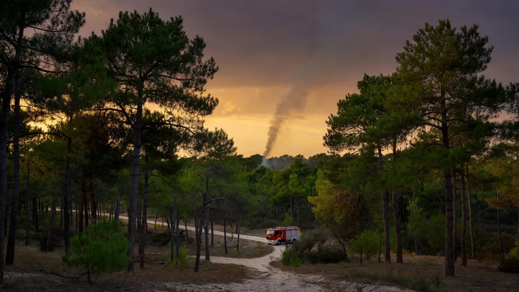 Biscarrosse : un feu de forêt de 3 000 m² maîtrisé par 22 pompiers du SDIS40 vendredi soir