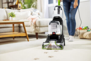 Bissell PowerWash Pet