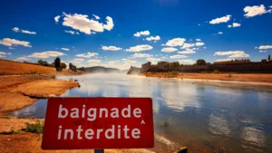 Canicule à Angoulême : des baigneurs bravent l&rsquo;interdiction de se baigner dans la Charente