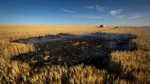 Canicule dans l&rsquo;Allier : un incendie détruit un hectare de récoltes à Beaune-d&rsquo;Allier