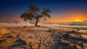 Canicule dans le Morbihan : forêts fermées, vitesse réduite et alerte sécheresse