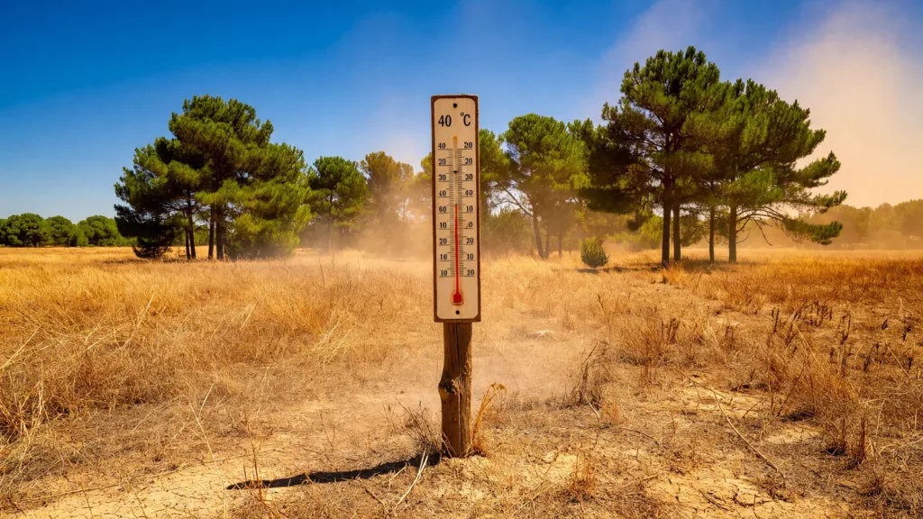 Canicule dans les Landes : le préfet confirme une hausse de 20 % de l'activité aux urgences