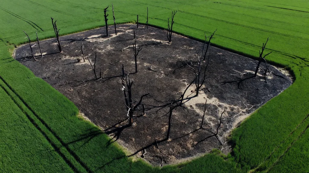 Canicule en Charente-Maritime : le bilan de la préfecture fait état de plus de 1 000 interventions de secours et 5 hôpitaux en plan blanc