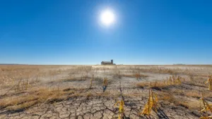 Canicule en Corrèze : après le record absolu de 43 °C à Brive, l&rsquo;agriculture et les forêts durement touchées