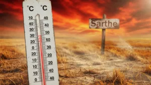 Canicule en Sarthe : l&rsquo;intersyndicale saisit le préfet pour protéger les travailleurs exposés à 42 °C