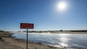 Canicule en Seine-et-Marne : un homme de 25 ans se noie à Chelles, 12e victime de la saison