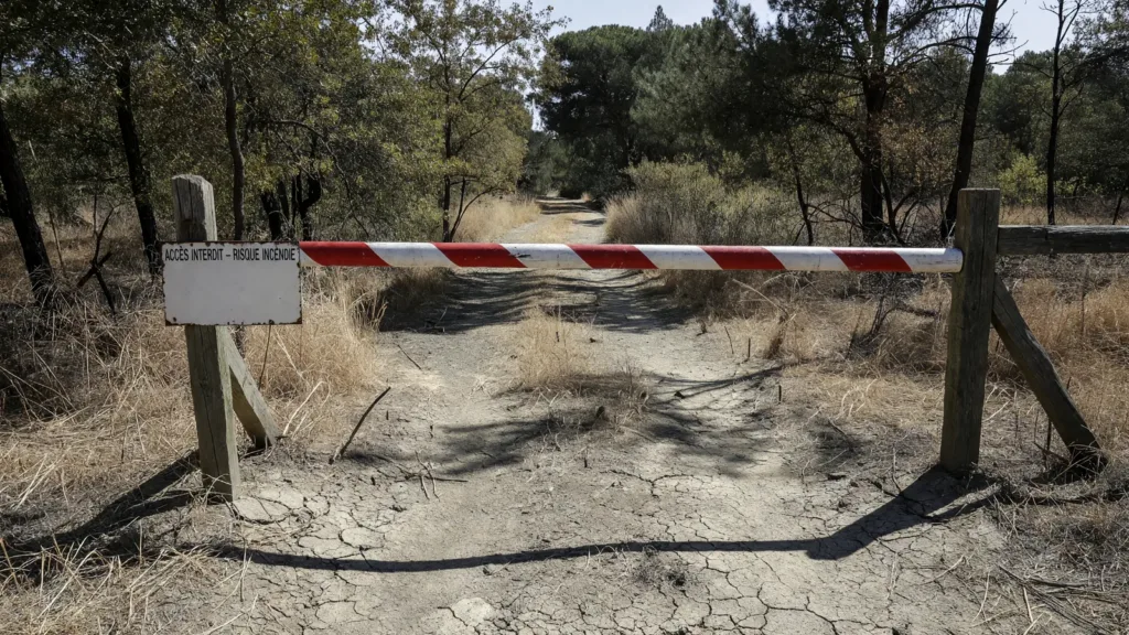 Canicule et incendies : les forêts de Seine-Saint-Denis et des Trois Pignons fermées jusqu'à ce dimanche