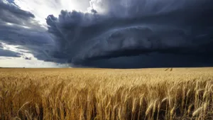 Canicule et orages dans l&rsquo;Aisne : vigilance rouge maintenue jusqu&rsquo;à 22h avant une alerte orange
