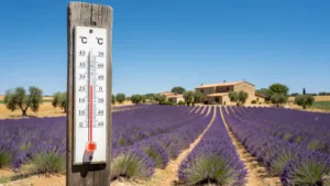 Canicule : le Vaucluse maintenu en vigilance orange ce mercredi 24 juin, les pompiers rappellent les bons réflexes