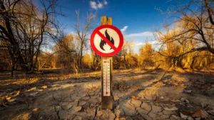 Canicule rouge et risque sévère de feux de forêt en Saône-et-Loire : interdiction des barbecues et des manifestations sportives