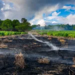 Carcassonne : 80 pompiers maîtrisent un incendie de 5 hectares près de la ville