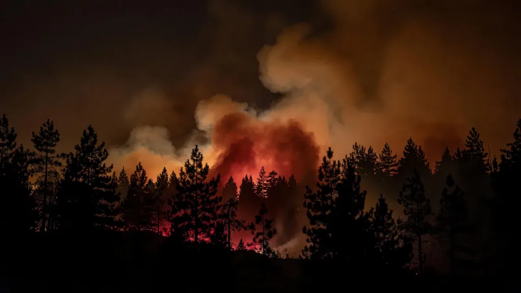 Carcassonne : un incendie menaçant des habitations maîtrisé à Montredon