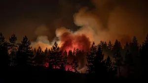 Carcassonne : un incendie menaçant des habitations maîtrisé à Montredon