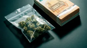 Cayenne : trafic de cannabis démantelé, 1,65 kg et 7 915 € saisis