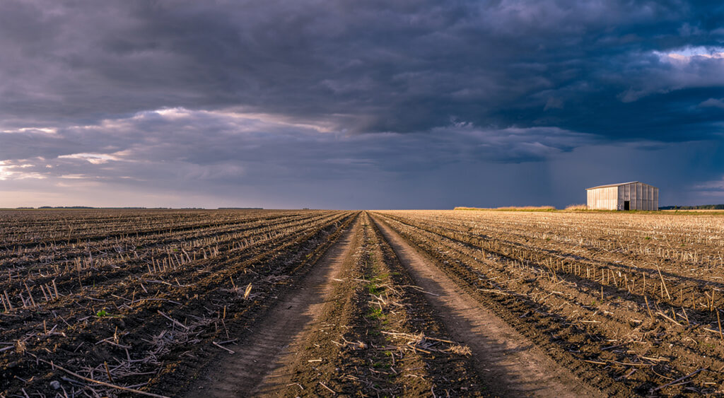Champagne Berrichonne : cinq ans de météo difficile vident les trésoreries