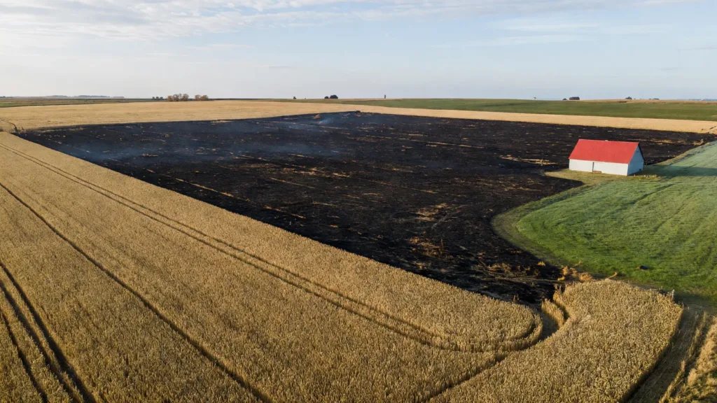 Charente-Maritime : un élevage de lapins sauvé des flammes grâce aux pompiers des Deux-Sèvres