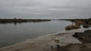 Charleville-Mézières : la baignade dans la Meuse annulée après des orages pour risques sanitaires