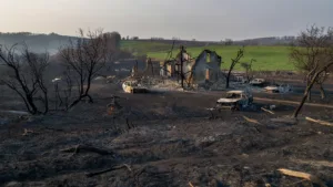Corgnac-sur-l&rsquo;Isle : une maison, cinq voitures et cinq hectares détruits par un incendie
