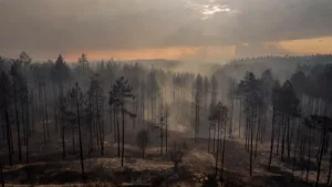 Côte-d&rsquo;Or : le risque incendie rétrogradé au niveau normal, vigilance sécheresse renforcée