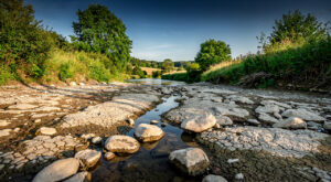 Creuse : le bassin du Cher passe en alerte sécheresse, premières restrictions d&rsquo;eau
