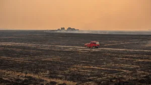 Deux-Sèvres : un incendie de champ à Ardin mobilise une vingtaine de pompiers et frôle des habitations