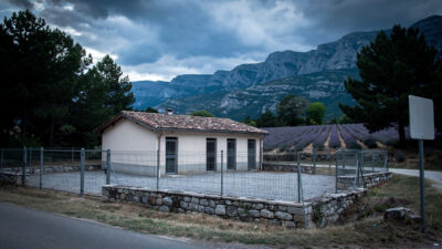 Digne-les-Bains : Patricia Sarracanie, du Corso à la 4e adjointe déléguée à l&rsquo;éducation et au bien-être animal