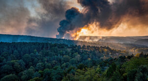Dordogne : 5 hectares brûlés à Paussac-et-Saint-Vivien, 50 pompiers mobilisés