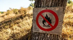 Dordogne : la Préfète alerte sur le risque incendie accru avec les fortes chaleurs