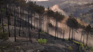 Drôme : 15 hectares brûlés dans un incendie de forêt à Saint-Nazaire-le-Désert, fixé après intervention de 100 pompiers et Canadairs