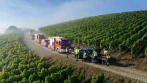 Épernay : exercice de désincarcération du SDIS51 dans le vignoble pour la sécurité des vendangeurs