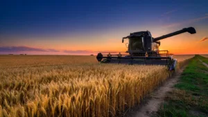 Essonne : agriculteurs et sapeurs-pompiers unis contre les feux de moisson